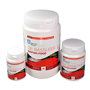 BF FORTE XL 170g