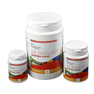 BF MORINGA L 60g
