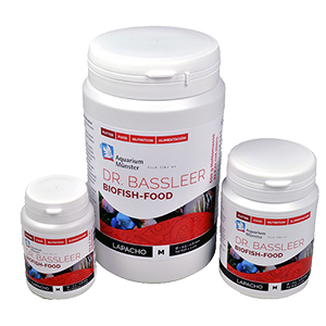 BF LAPACHO XL 170g